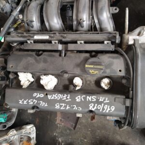 Motore Fiesta FNJB