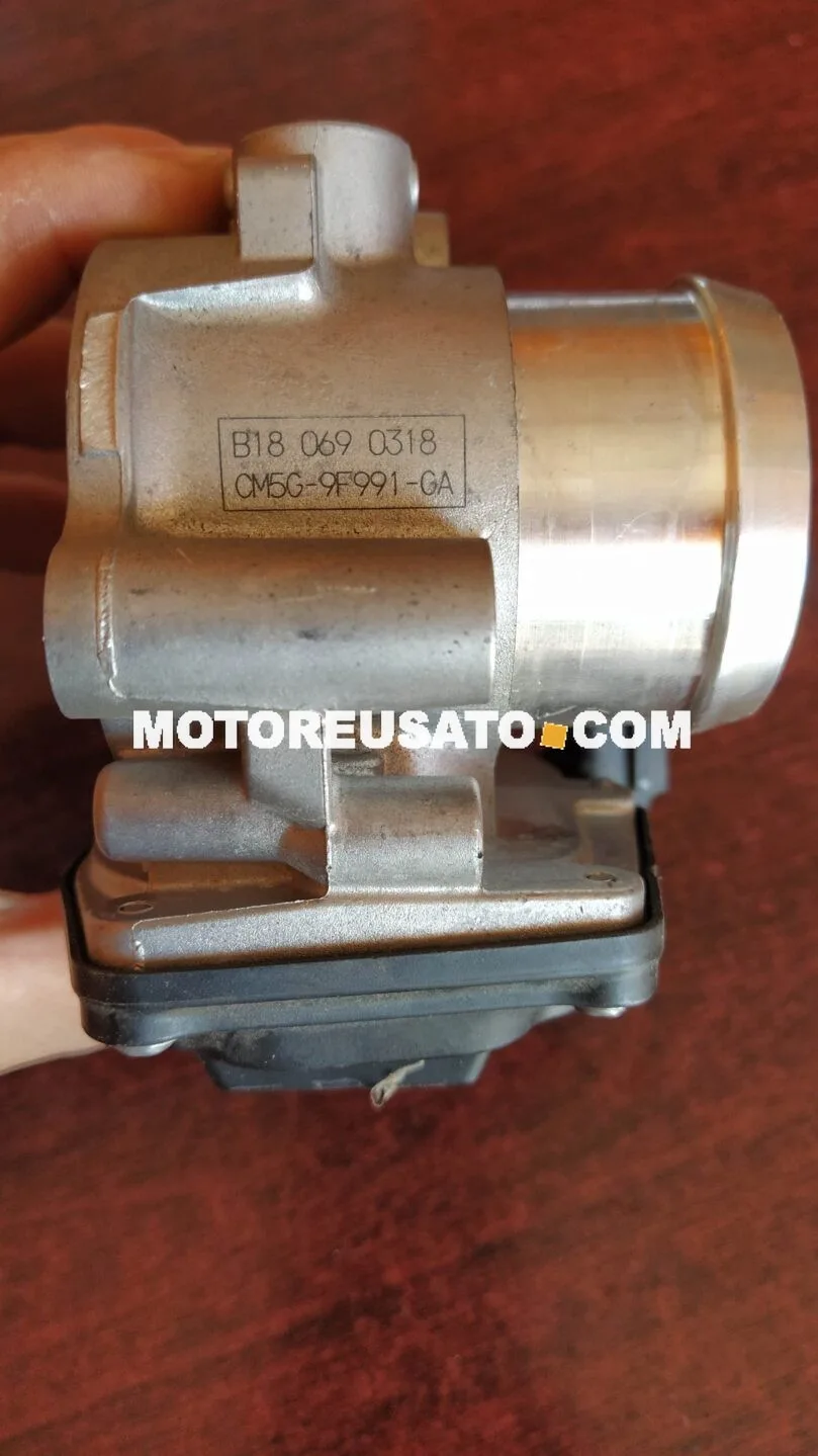 FARFALLA FORD B 18 069 0318 CM5G A32EB