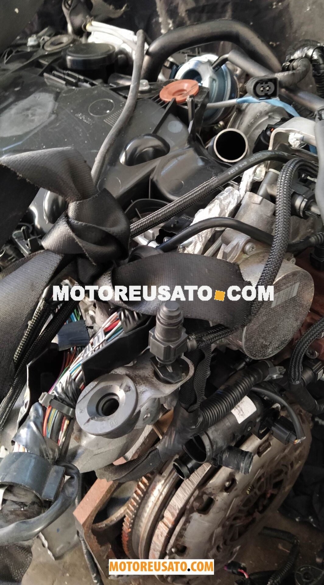 Nissan Motore M9R G 832