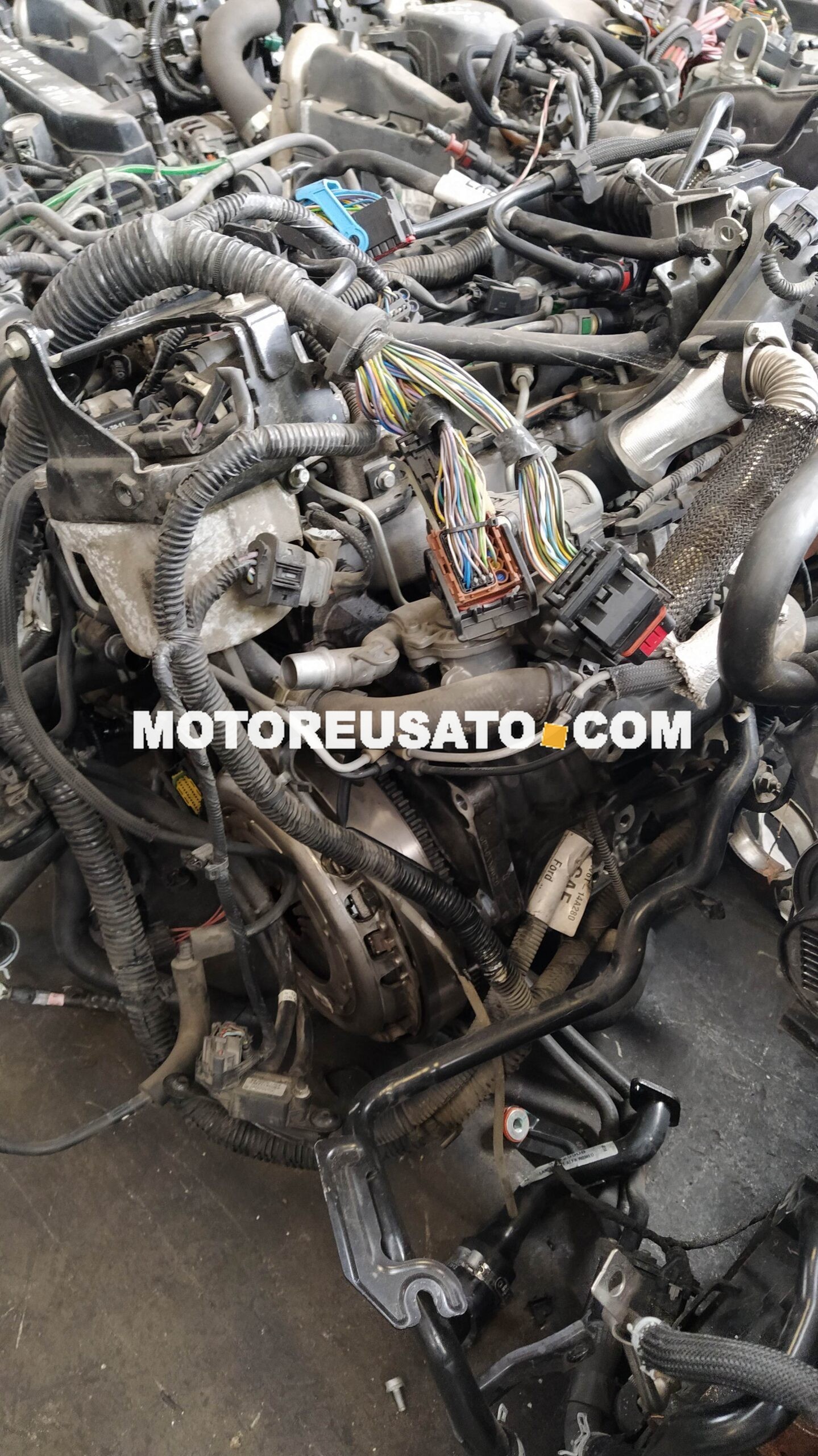 motore Ford c-max t1db