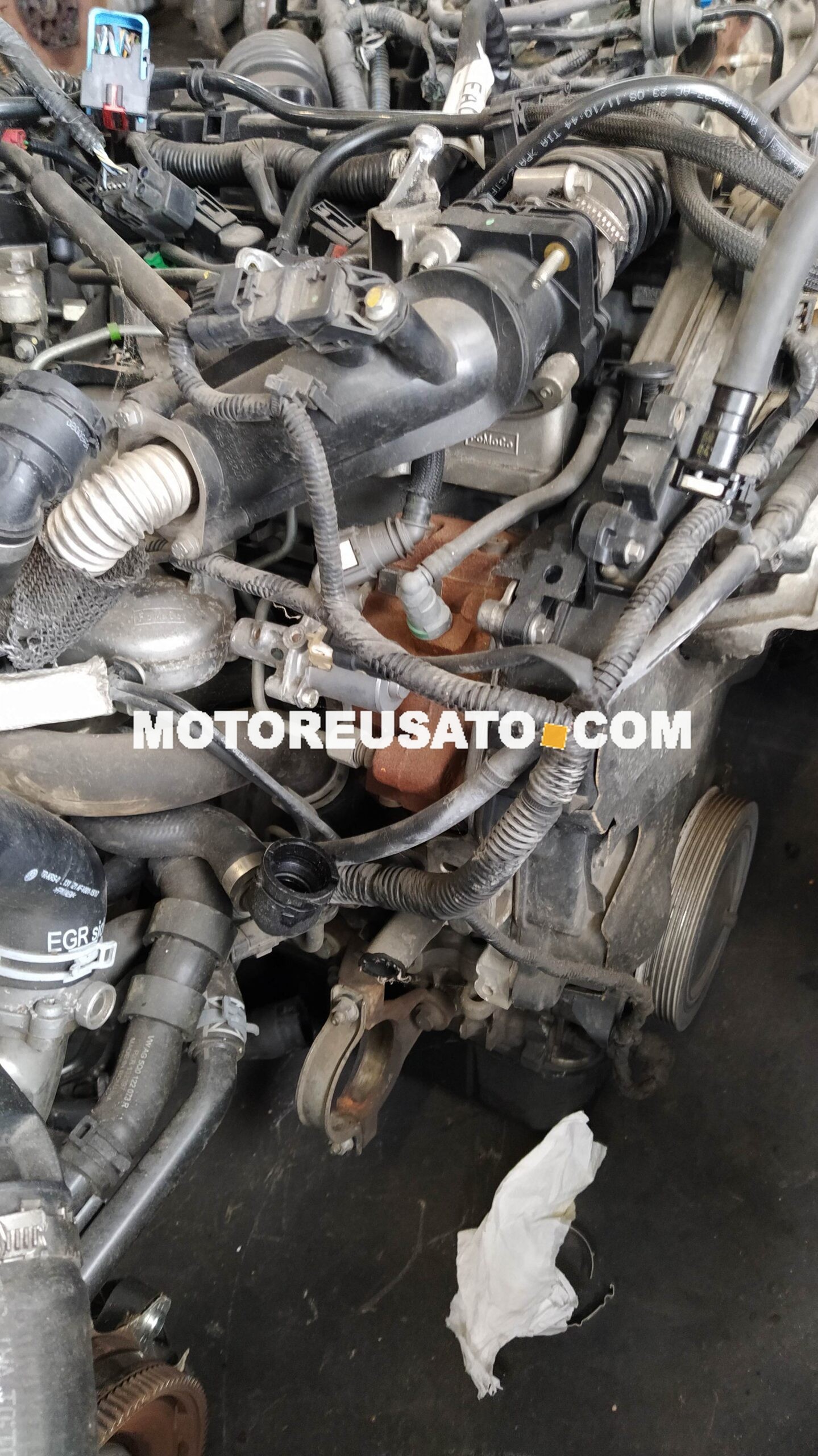 motore Ford c-max t1db