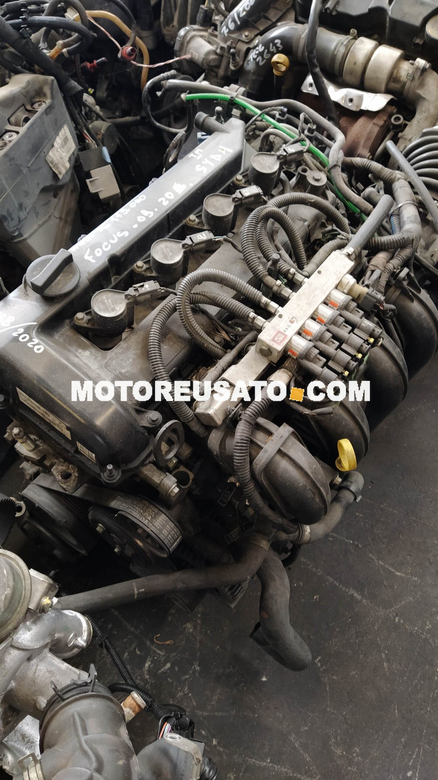 motore Ford Focus SYDA