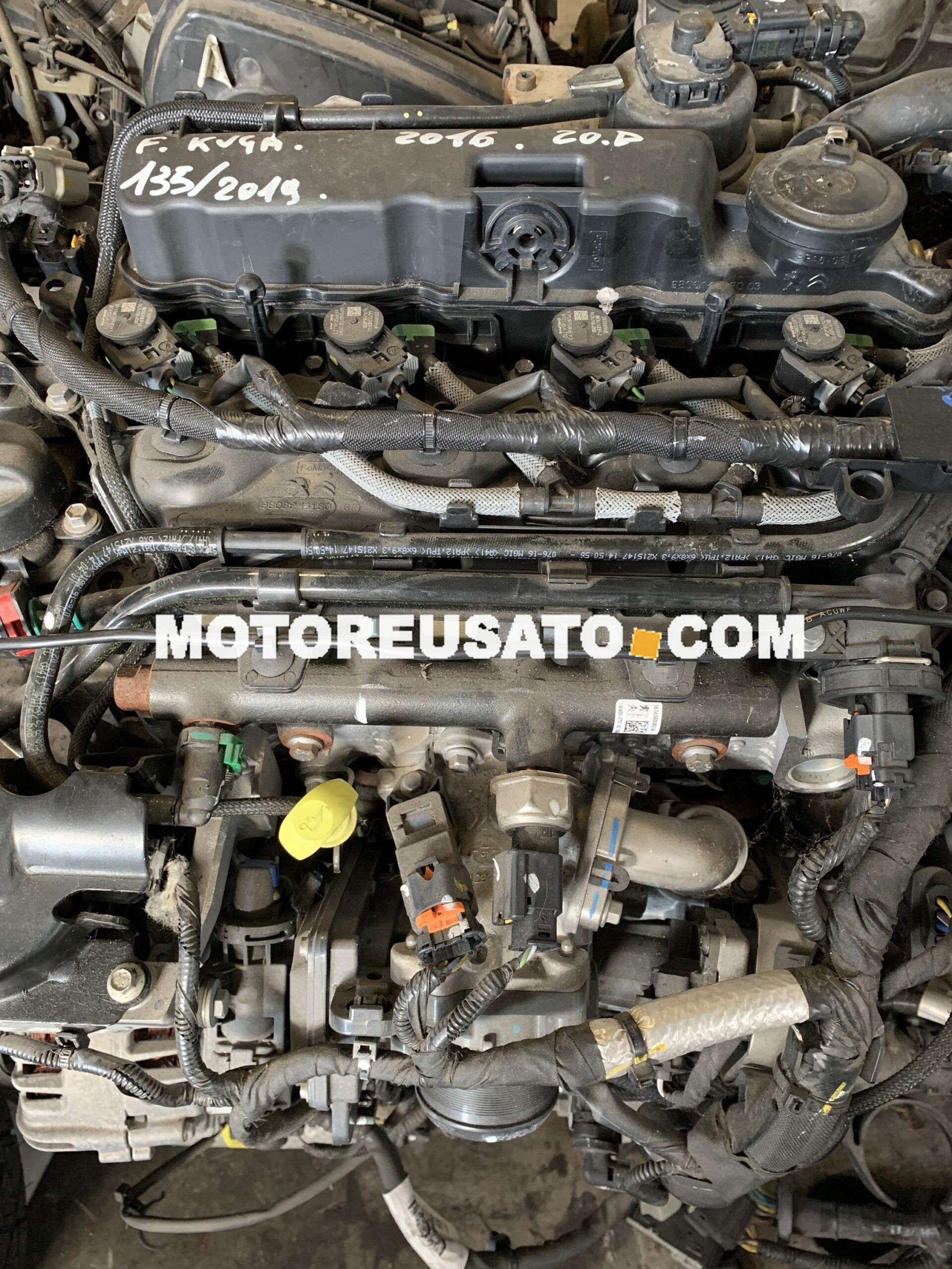 Motore Ford Kuga T7MA 20diesel cambio automatico FV4R7000AD