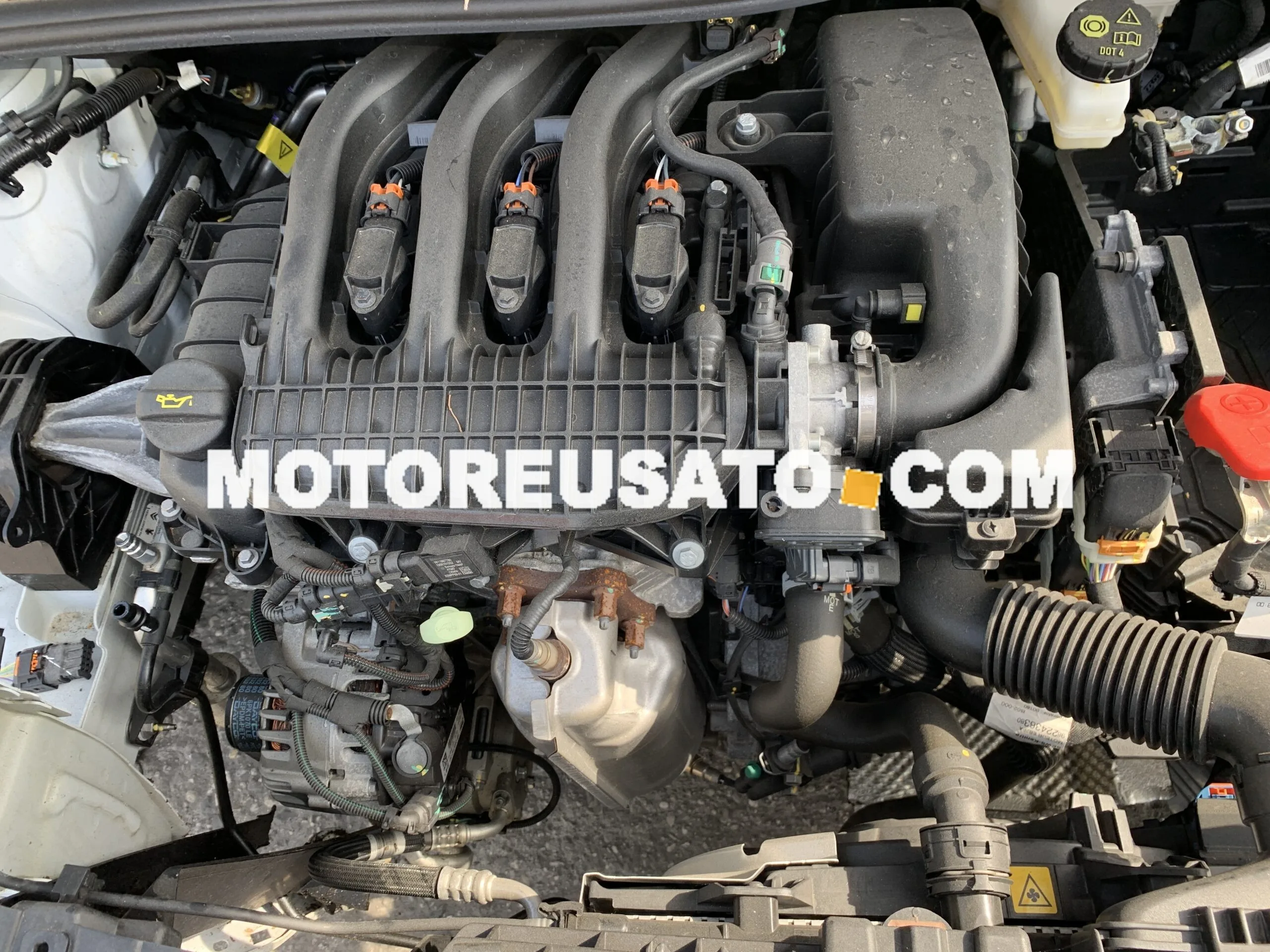 motore HM05