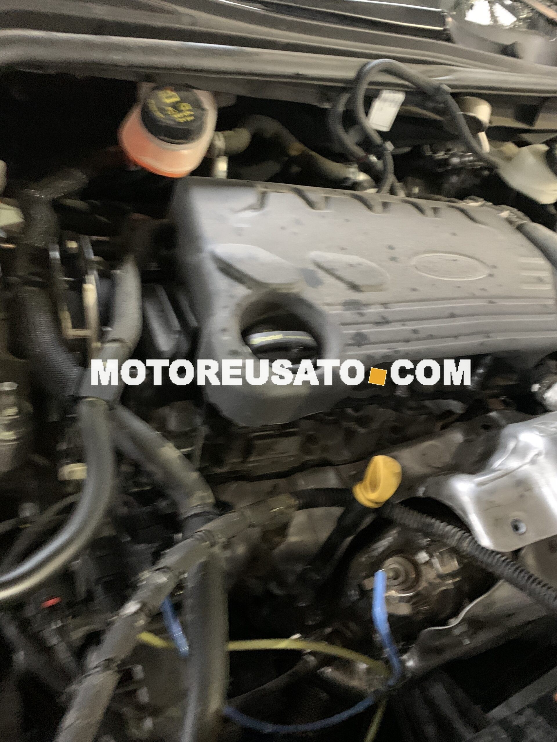 Motore ZTDA Ford Focus 1.5 EcoBlue 95 cv