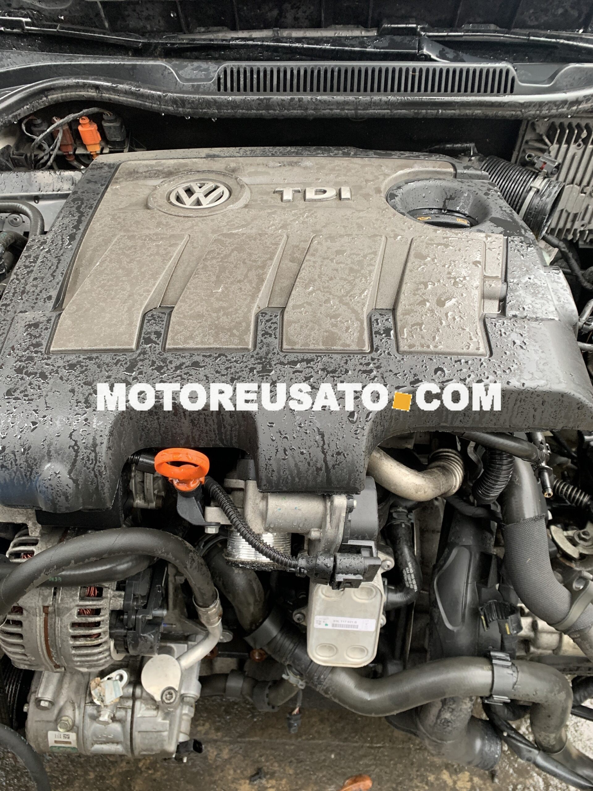 Motore CAY Polo 55kw