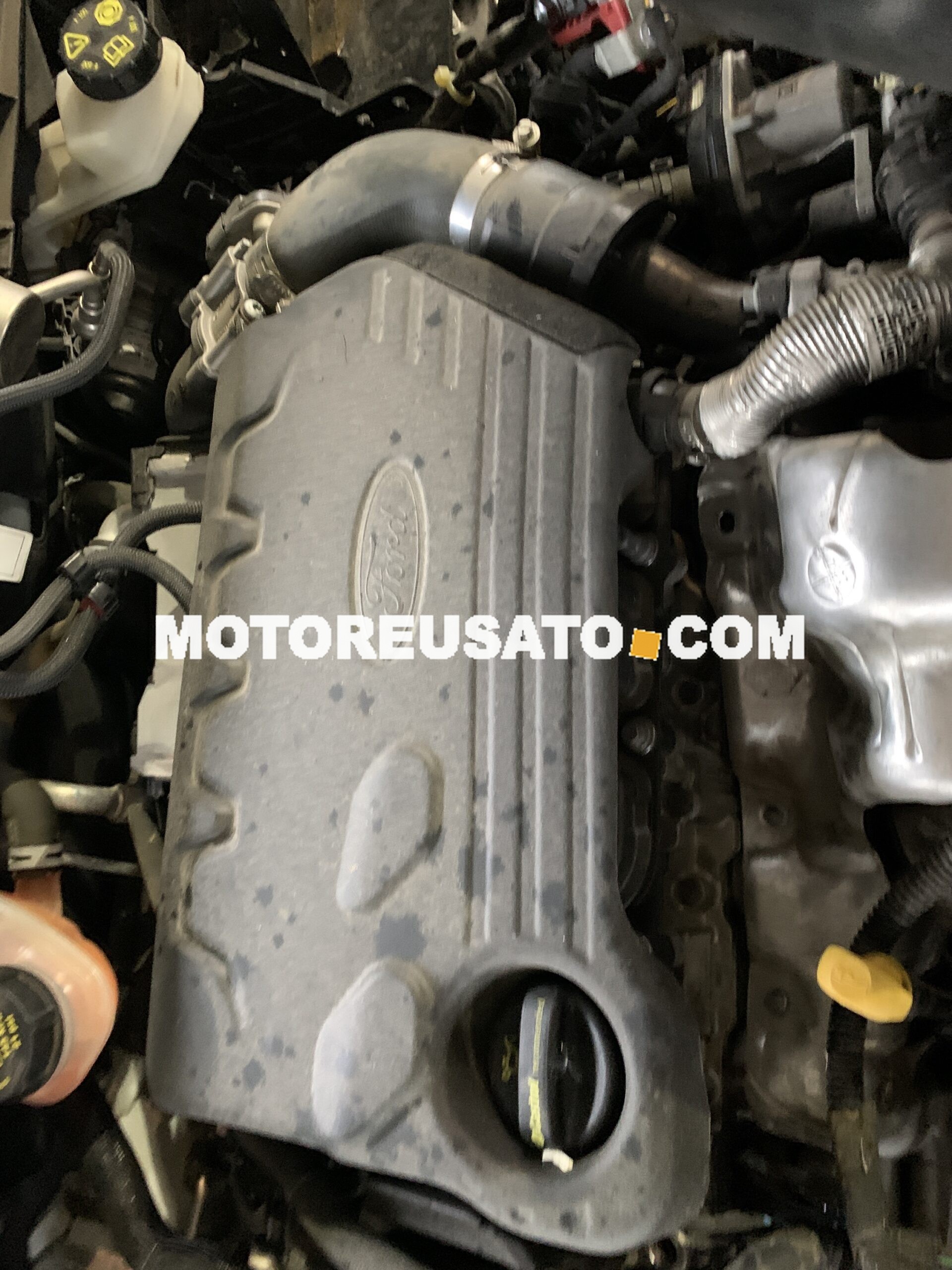 Motore ZTDA Ford Focus 1.5 EcoBlue 95 cv