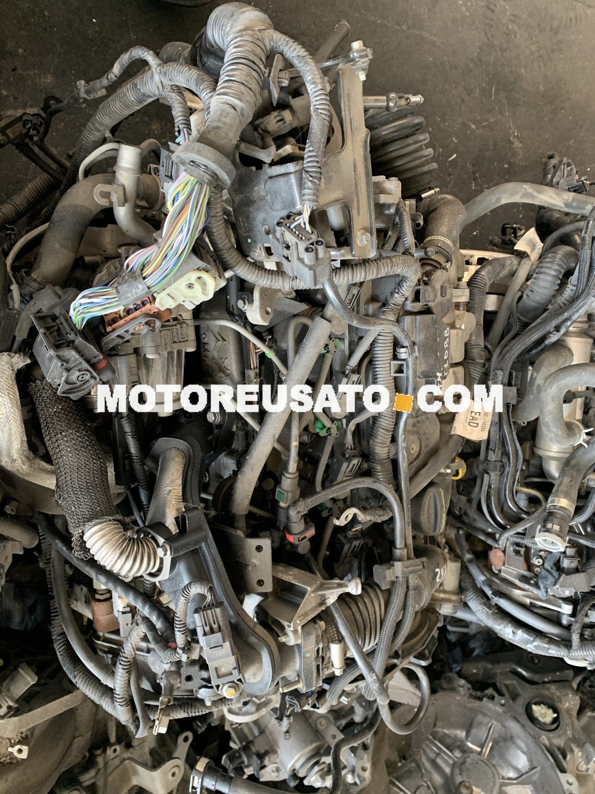 Motore Ford T1DB diesel 1.6