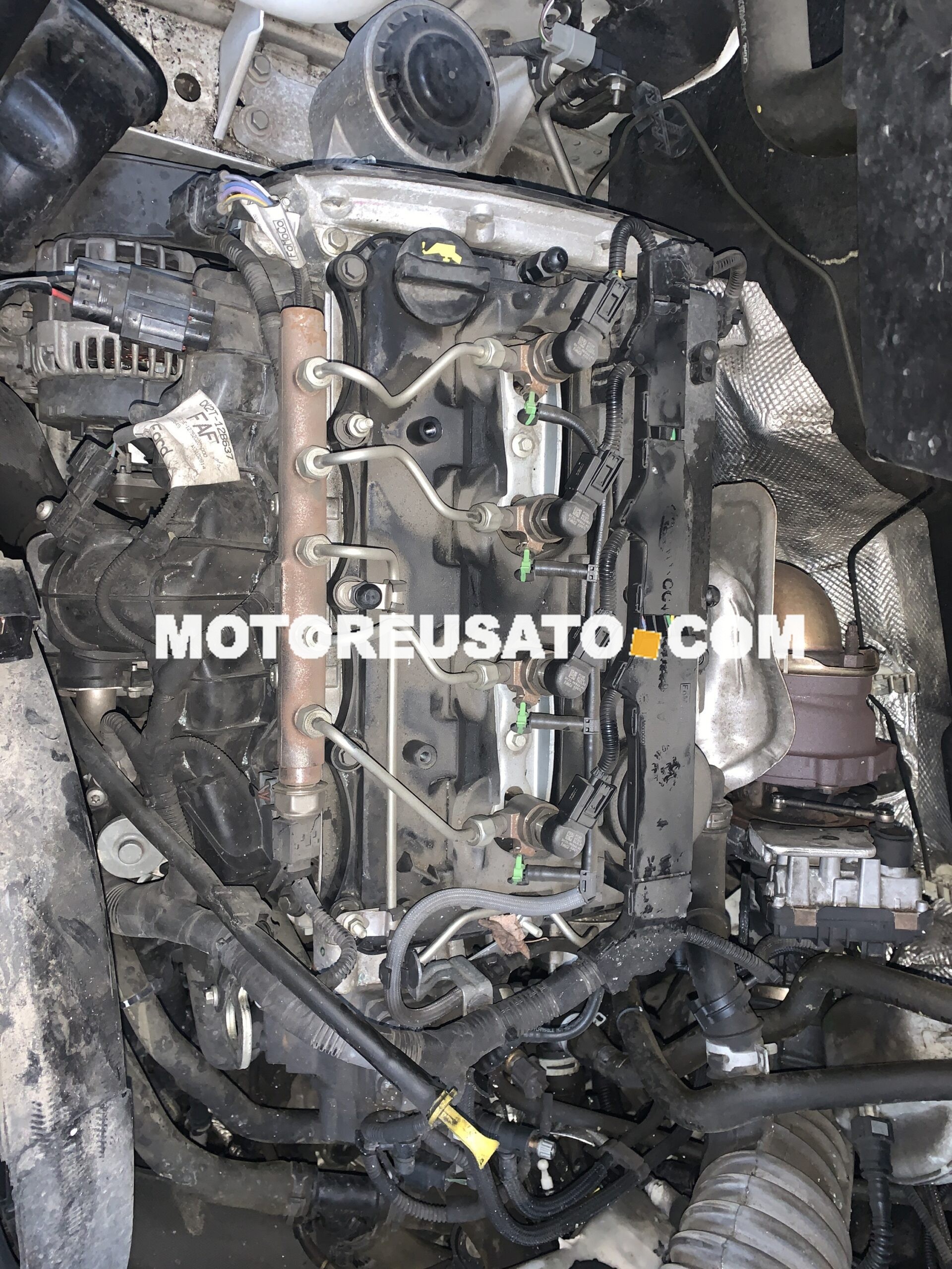 Motore Ford Custom Transit DRFF Kw 74